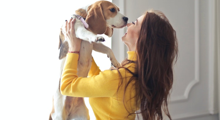 How Much Does Pet Insurance Cost? - United States