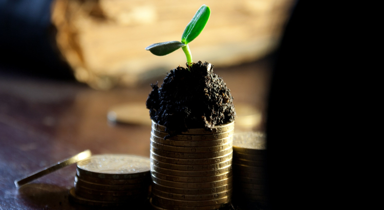 How to Invest In Dividend Stocks - United States