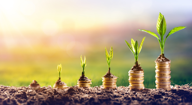Stocks vs. Bonds: A Beginner's Guide - United States