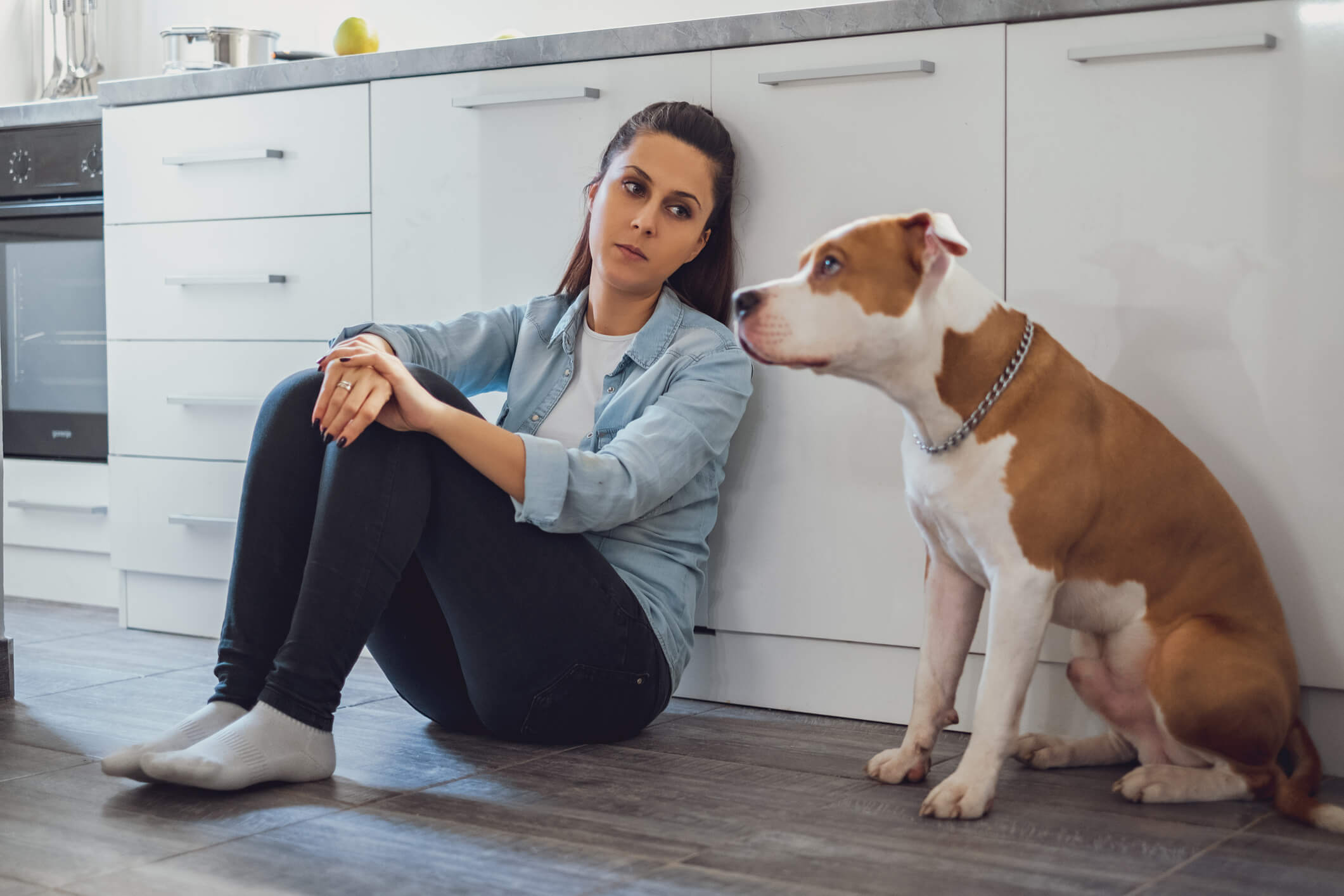 What Pit Bull Owners Need to Know About Home Insurance - United States