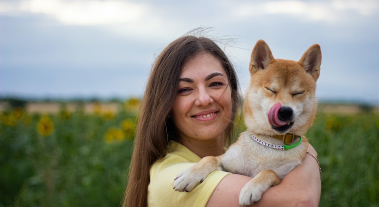 Transferring Pet Insurance: Everything You Need to Know - United States